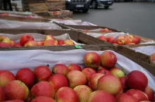 bronisze rynek hurtowy