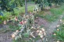 połamane przewodniki