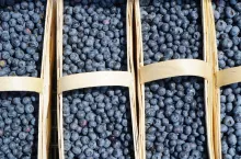 ceny owoców miękkich u pośredników