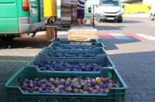 aktualna sytuacja na broniszach