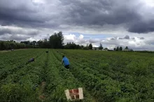 mężczyznę poraził piorun