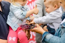 dzień polskiej borówki