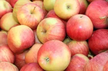 jabłka