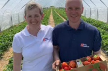 początek sezonu truskawek