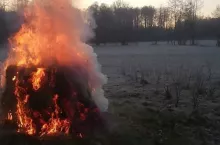 przymrozki 2020 zimni ogrodnicy