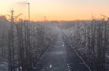 kradzieże w gospodarstwach