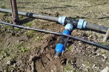 nawodnienie susza 2020