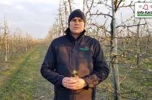 komunikat sadowniczy robert binkiewicz