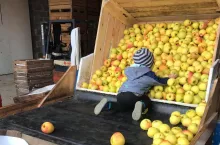 zasilek dla rolnikow