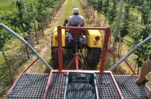 platforma sadownicza