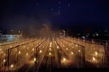 przymrozki w południowym tyrolu