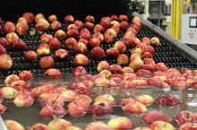 deficyt siły roboczej na sortowniach