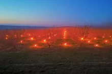 przymrozki na wegrzech