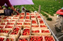 koronawirus a pracownicy