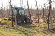 sadownicza tarcza antykryzysowa