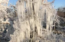 ochrona sadu przed przymrozkami 2020