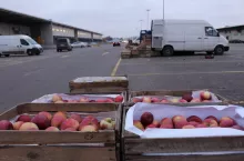 jabłka na rynku hurtowym w sandomierzu