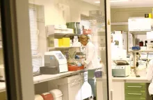 Instytut Ochrony Roślin – PIB deklaruje wsparcie w walce z pandemią