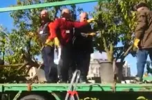 Protesty hiszpańskich sadowników - 15 luty 2020