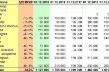 Stan zapasów jabłek w Polsce według WAPA na dzień 1 grudnia 2019