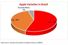 Produkcja jabłek w Brazylii