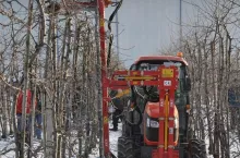 Mechaniczne cięcie sadu