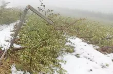 Śnieg w Trydenci zniszczył sady, powodzie w Toskanii - listopad 2019