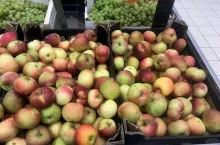 Jabłka drugiej klasy