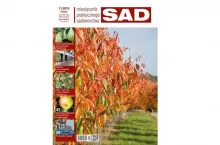 MPS Sad numer 11/2019 - zapowiedź