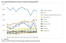 Produkcja jabłek w UE