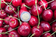 VII Letnie Pokazy Czereśniowe