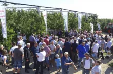 Tak było podczas VI edycji Letnich Pokazów Czereśniowych