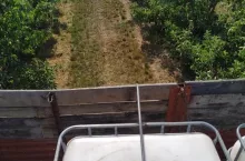 Podlewanie sadu daleko od domu - lipiec 2019