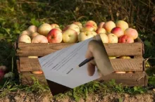 M.Maliszewski - Nie chcemy być niewolnikami u przetwórców!