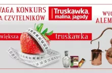 Konkurs truskawkowy