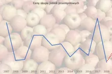 Ceny jabłek muszą pójść w górę, ale to zależy od sadowników!