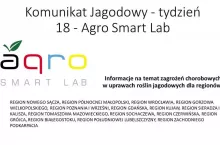 Komunikat jagodowy Agro Smart LAB