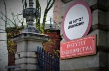 Instytut Ogrodnictwa