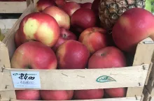 Ceny jabłej w Serbii