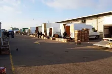 Hurtowe ceny jabłek - Bronisze 2019