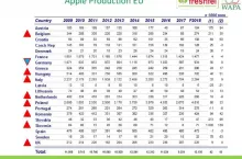 Produkcja jabłek w UE