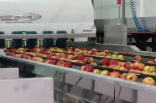 Wsparcie na tworzenie grup i organizacji producentów