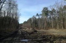 Ruszyła budowa nowego zakładu T.B. Fruit