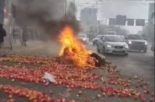 A u nas na Placu Zawiszy staruszka zbiera jabłka do reklamówek…