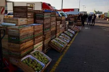 Hurtowe ceny owoców - rymek w Broniszach