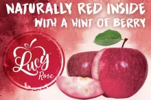 LucyTM Rose oraz LucyTM Glo