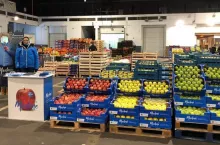 Promocja po wlosku - MARLENE®