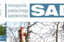 MPS Sad numer 2/2019