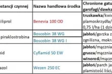 Program ochrony roślin sadowniczych 2019 - aktalizacja