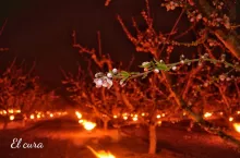 fot. A.M.Saorina (profil Facebook)